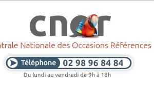 Occasion cnor