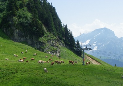 illustration des vacances à la montagne